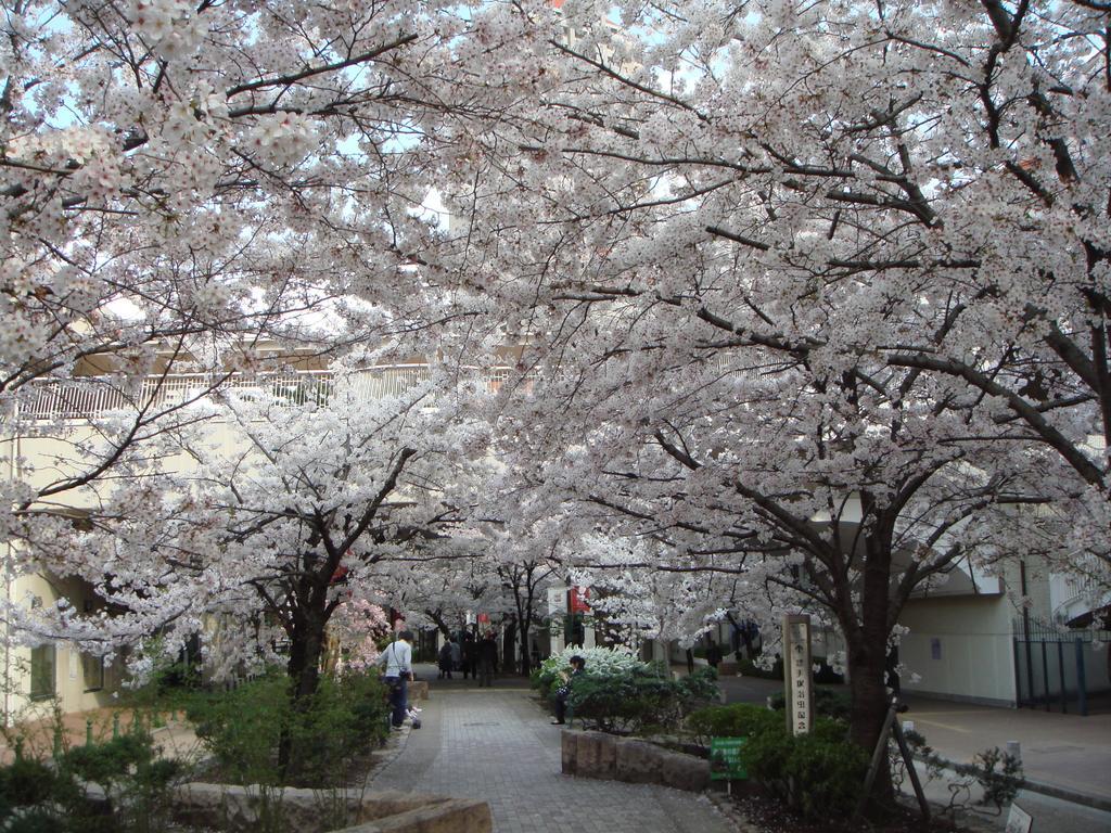 Hotel Wakamizu Takarazuka Εξωτερικό φωτογραφία